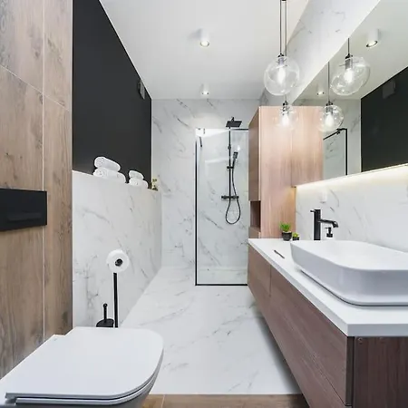 Elegant Business Apartment Krakow